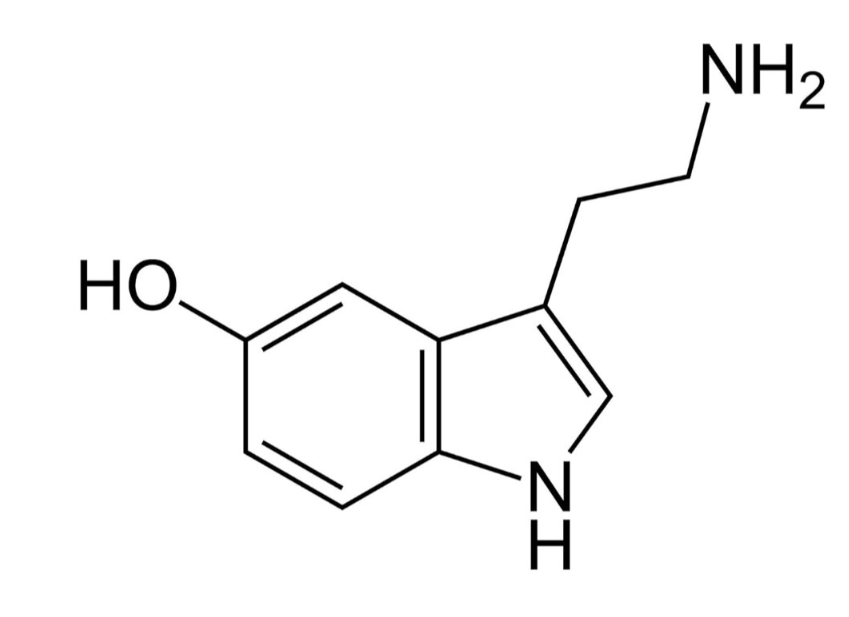 Molecule Pendant Necklace