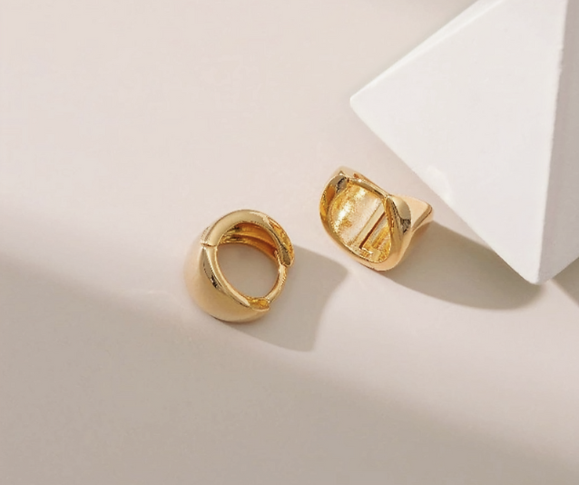 Stainless Steel Earrings