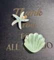 Ocean Theme Starfish & Seashell Hair Clips