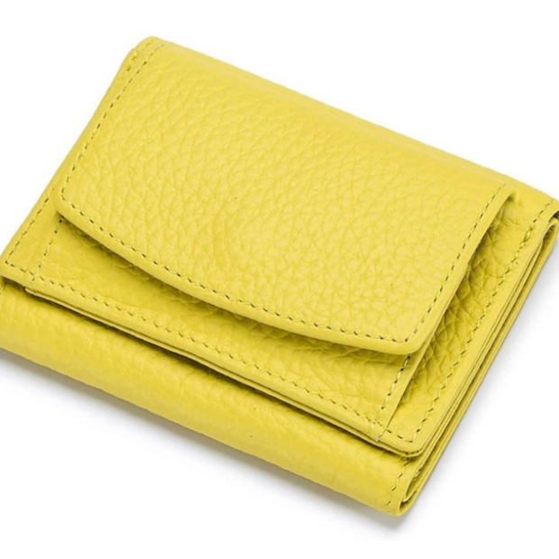 Fashionable Wallet