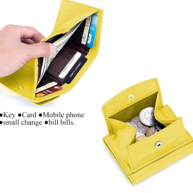 Fashionable Wallet
