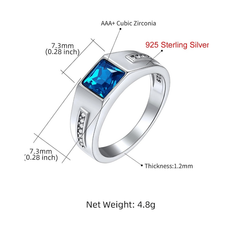 Handsome Men's Blue Stone Silver Ring – Perfect Gift for Him