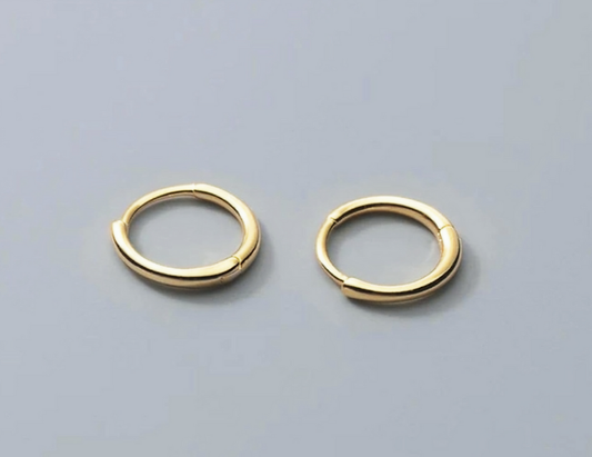 Small Silver Hoop Earrings
