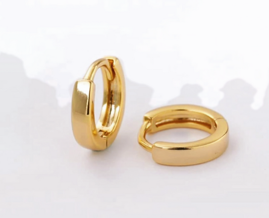 14K GF Stainless Steel Earrings 5 mm