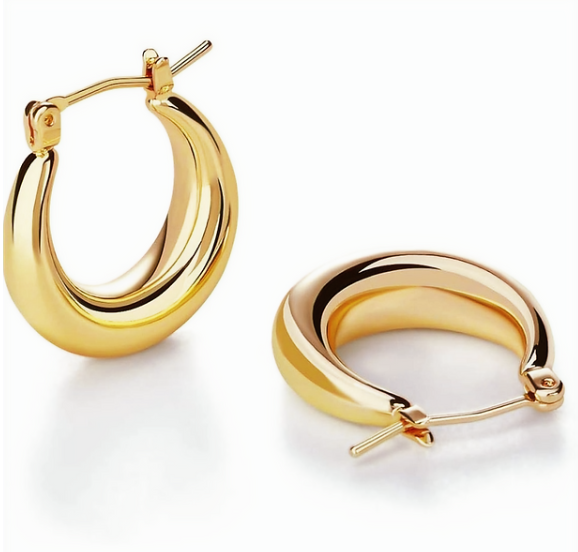14K GF Stainless Steel Earrings