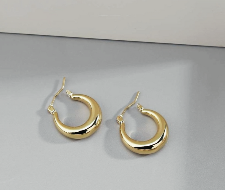 14K GF Stainless Steel Earrings