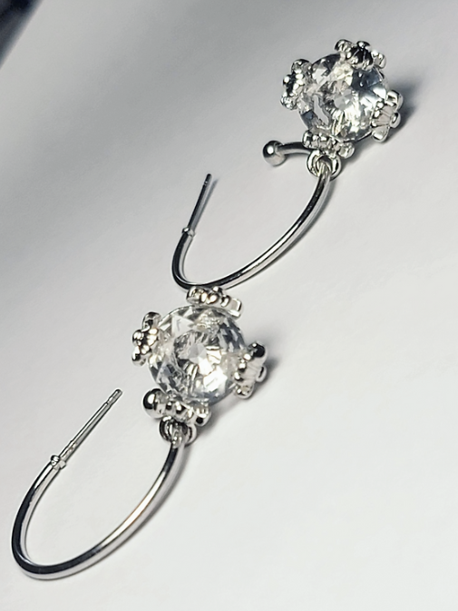 Fasion Styling Steel Earrings