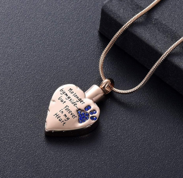 Stainless Steel Memorial Urn Necklace for Pet Ashes (0.79")