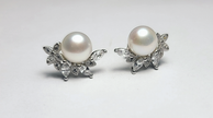 Elegant Pearl & Silver Stud Earrings – 925 Sterling Silver Jewelry