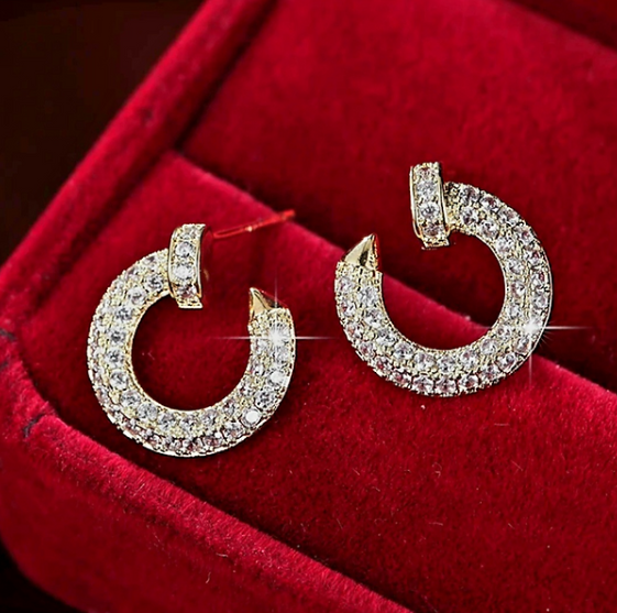 Dazzling Circle Earrings