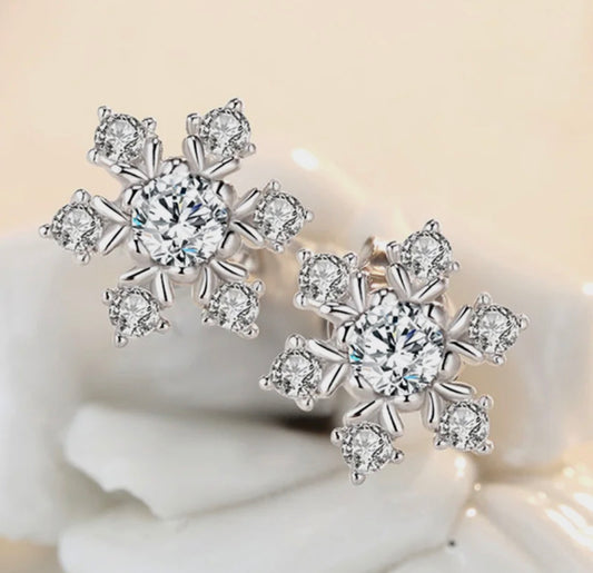 Snowflake Silver  Earrings