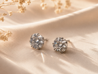 Classic Round Cubic Zirconia Stainless Steel Stud Earrings