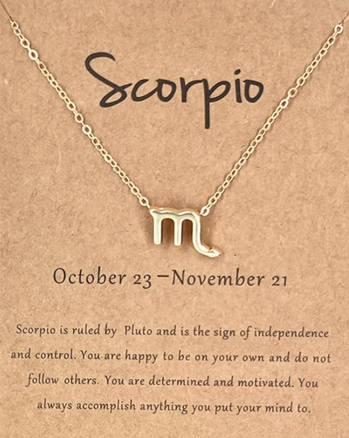 18" Scorpio Zodiac Necklace – Stainless Steel Astrology Pendant