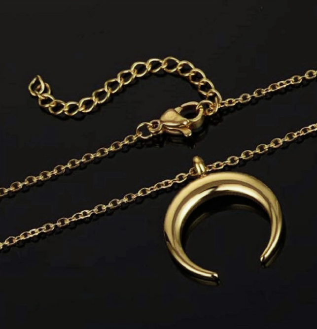Cresent Moon Pendant Necklace