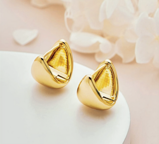 Stainless Steel Earrings