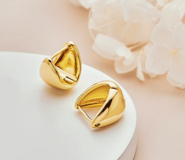 Stainless Steel Earrings