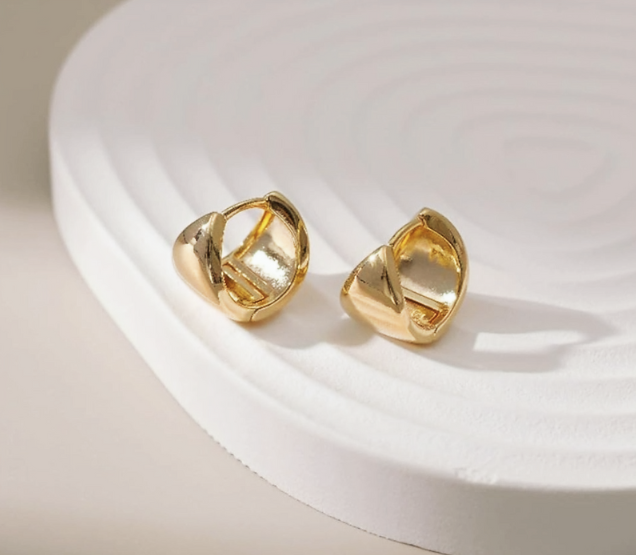 Stainless Steel Earrings