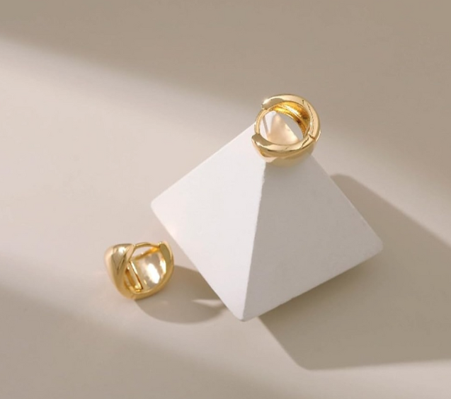Stainless Steel Earrings