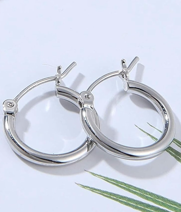 Stainless Steel Hoop Earrings