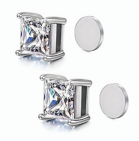 Stainless Steel Magnetic Stud Earrings