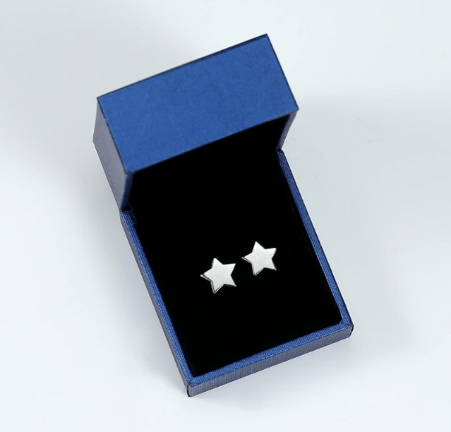"Star" Steel Stud Earrings