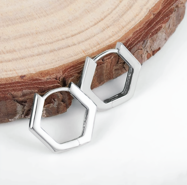 Titanium Hoop Earrings 2 mm