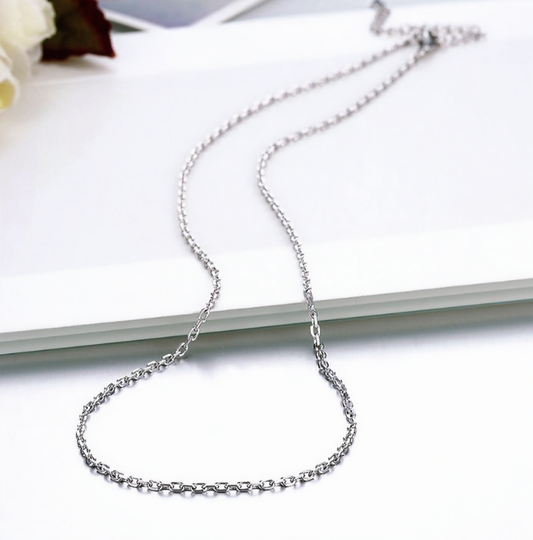 Stainless Steel Chain