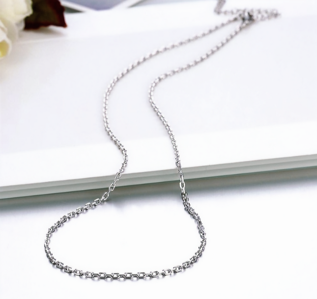 Stainless Steel Chain